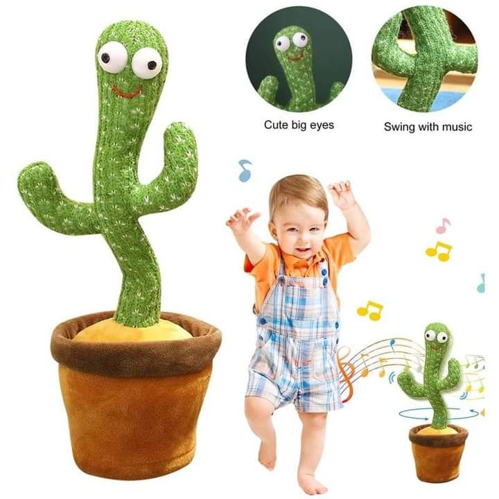 Dancing Cactus